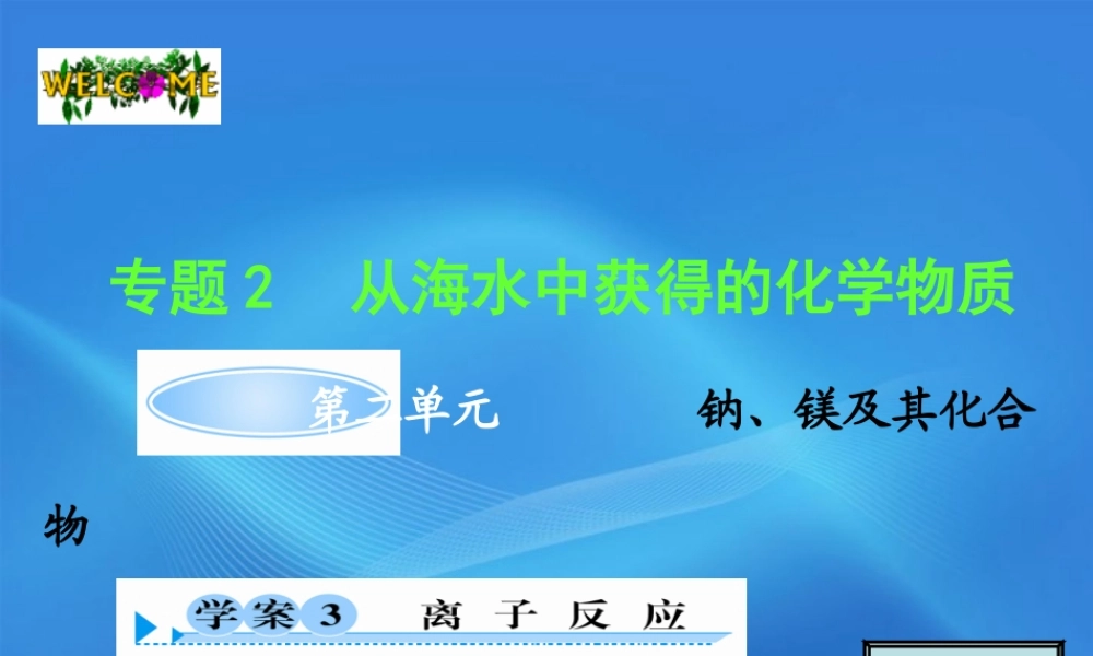 11-12学年高中化学 2.2.3 离子反应学案（PPT） 苏教版必修1
