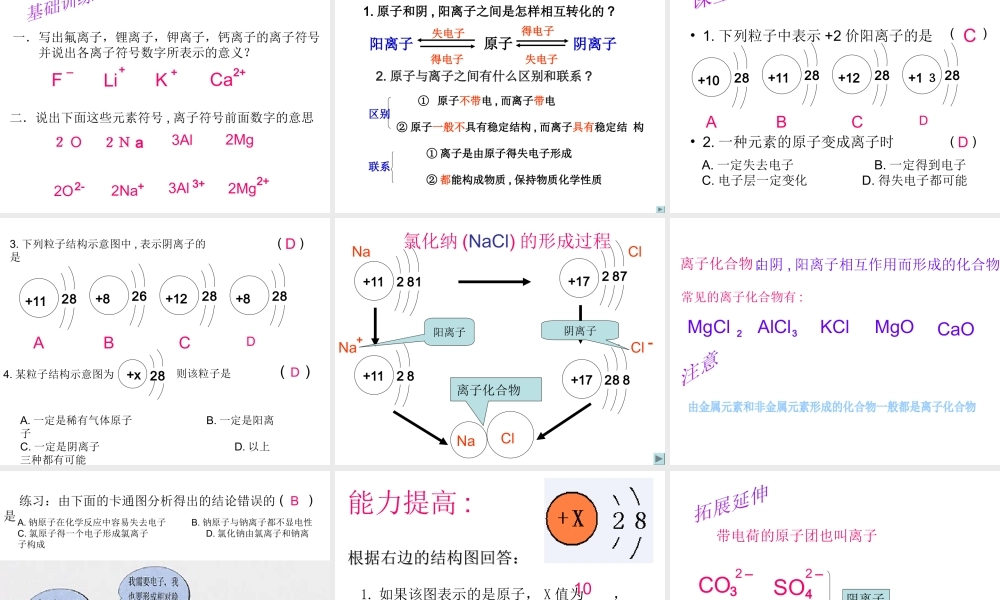 2012年秋九年级化学上册 原子核外电子排布规律，离子的形成课件 新人教版