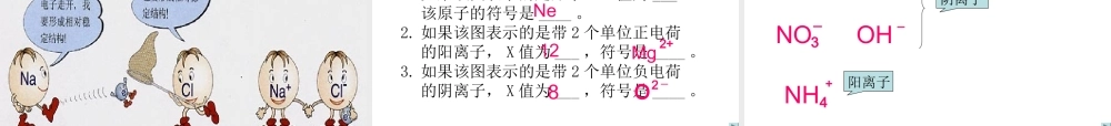 2012年秋九年级化学上册 原子核外电子排布规律，离子的形成课件 新人教版