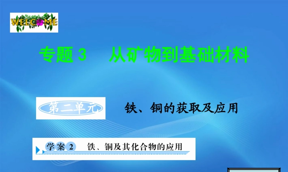 11-12学年高中化学 3.2.2 铁、铜及其化合物的应用学案（PPT） 苏教版必修1