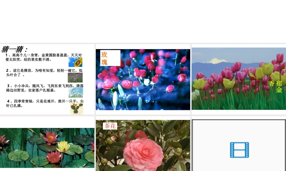 2012年秋七年级科学上册 常见的植物 种子植物课件 浙教版