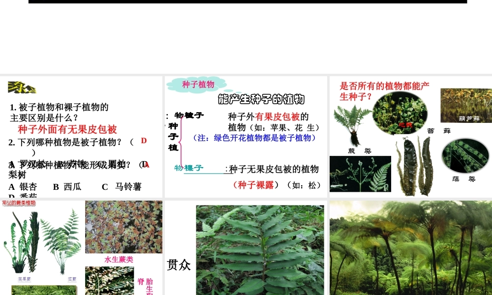 2012年秋七年级科学上册 常见的植物第二课时课件 浙教版