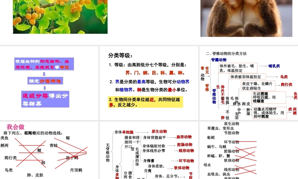 2012年秋七年级科学上册 第二章 观察生物4-6节复习课课件 浙教版