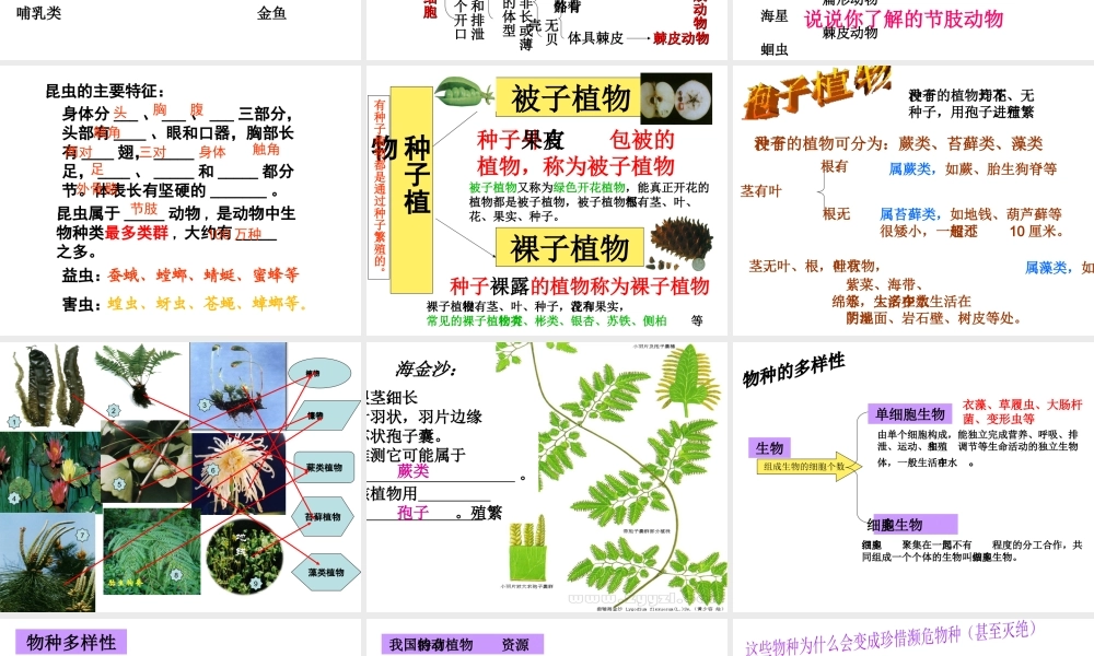 2012年秋七年级科学上册 第二章 观察生物4-6节复习课课件 浙教版