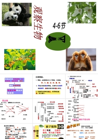 2012年秋七年级科学上册 第二章 观察生物4-6节复习课课件 浙教版