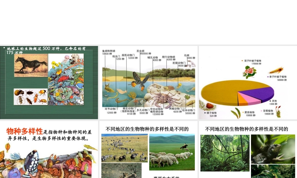 2012年秋七年级科学上册 第二章第六节第二课时课件 浙教版