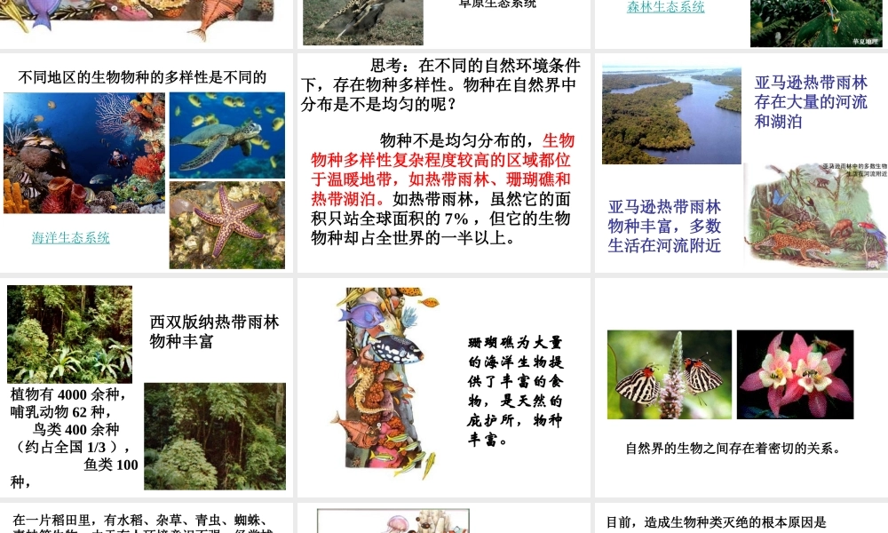 2012年秋七年级科学上册 第二章第六节第二课时课件 浙教版