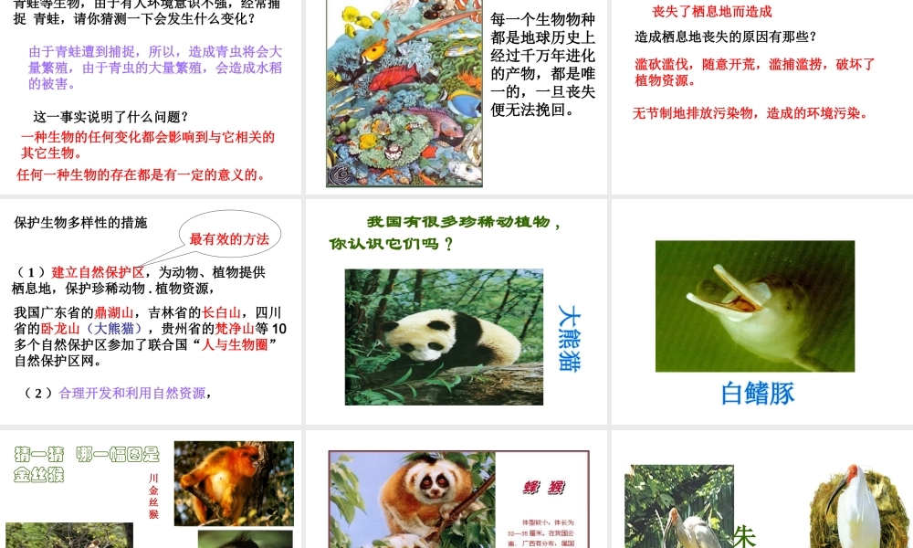 2012年秋七年级科学上册 第二章第六节第二课时课件 浙教版