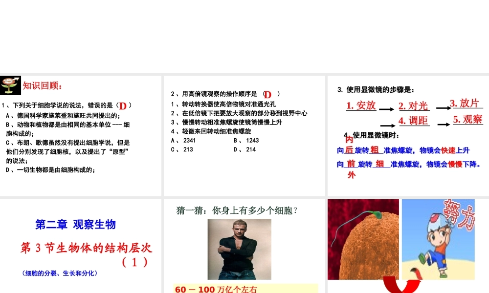 2012年秋七年级科学上册 第三节生物体的结构层次1课件 浙教版