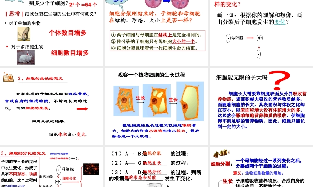 2012年秋七年级科学上册 第三节生物体的结构层次1课件 浙教版