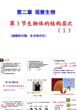 2012年秋七年级科学上册 第三节生物体的结构层次1课件 浙教版