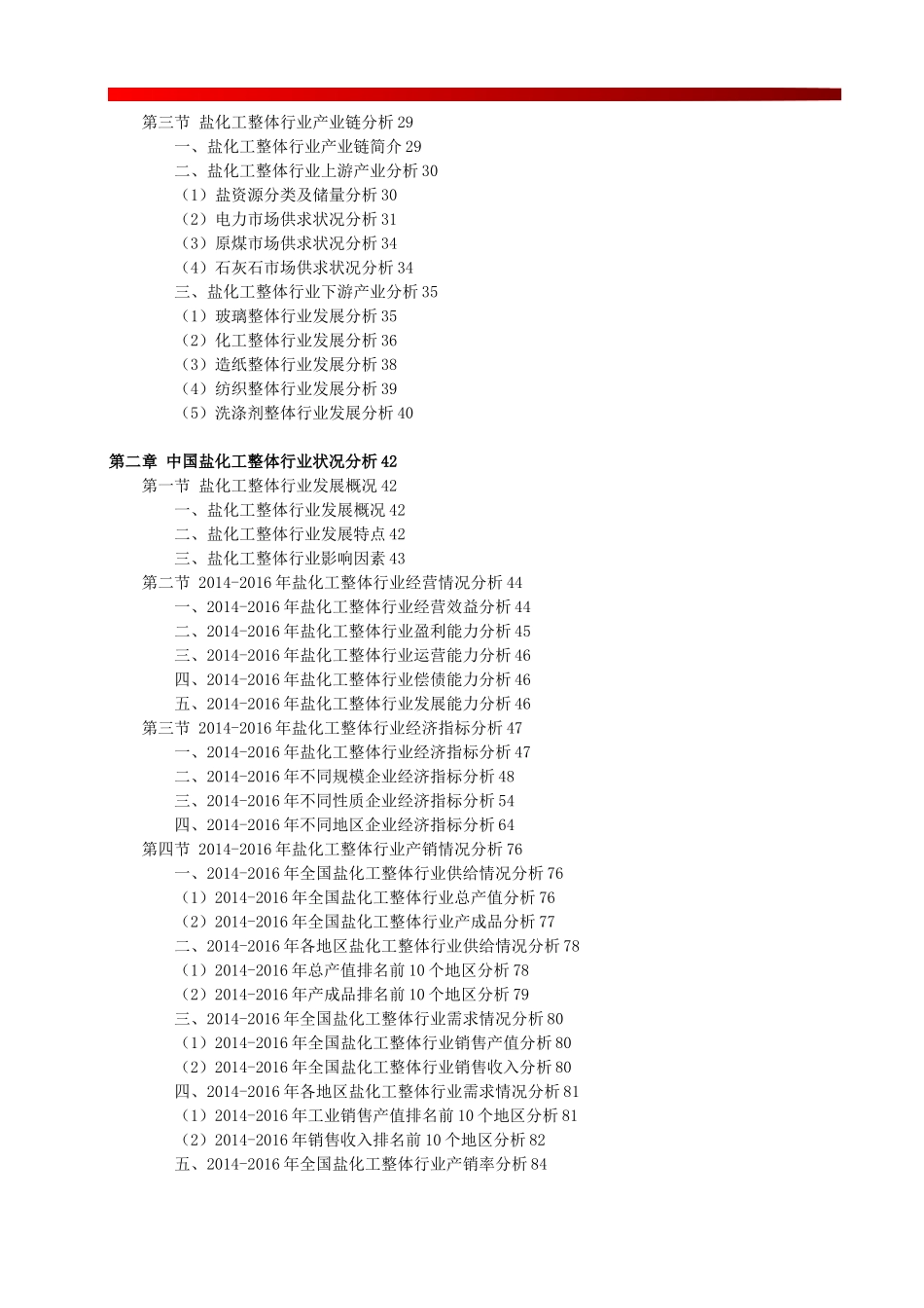 中国盐化工行业运营格局分析及投资潜力研究预测报告_第2页
