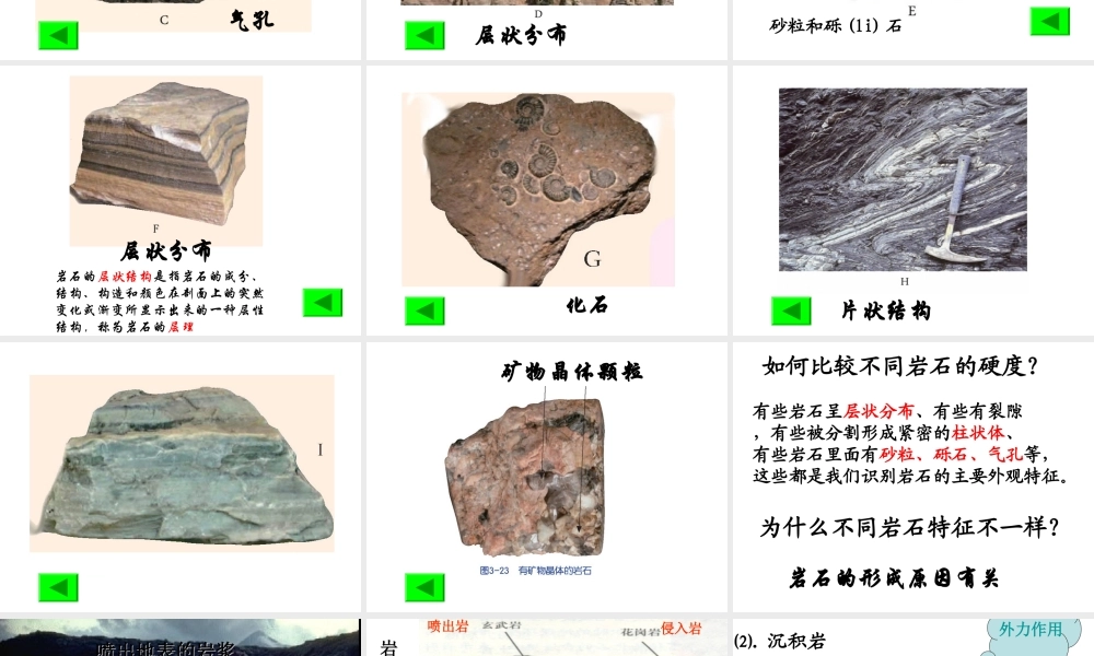 2012年秋七年级科学上册 第三章 第3节 组成地壳的岩石课件 浙教版