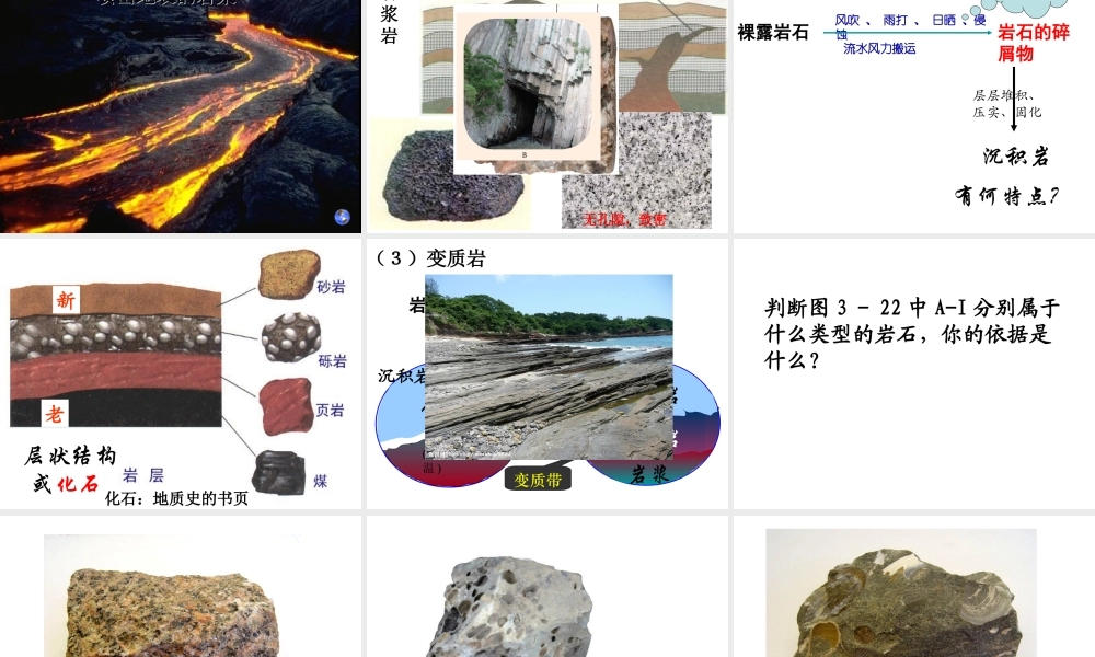 2012年秋七年级科学上册 第三章 第3节 组成地壳的岩石课件 浙教版