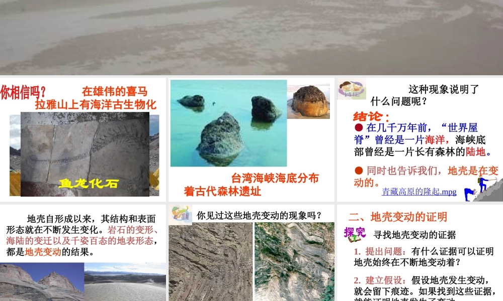 2012年秋七年级科学上册 第三章 第4节 地壳运动和火山地震课件 浙教版