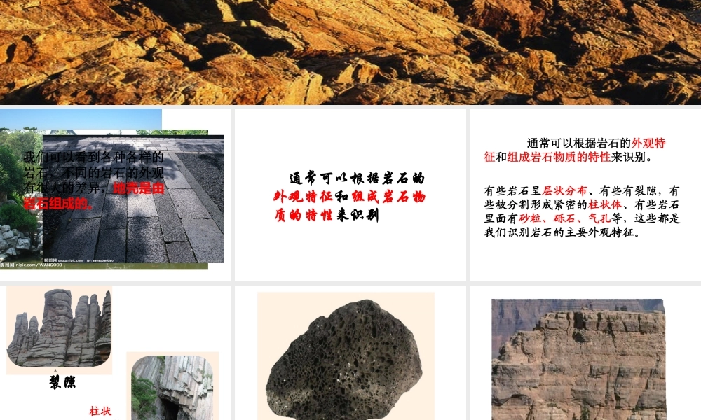 2012年秋七年级科学上册 第三章第三节组成地壳的岩石课件 浙教版