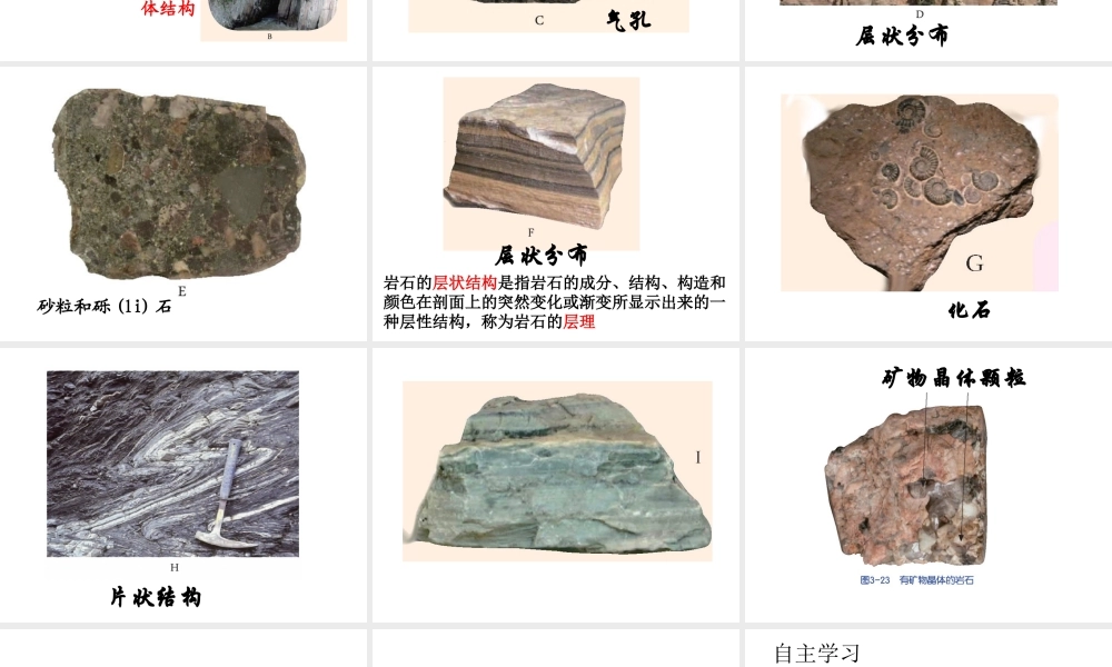 2012年秋七年级科学上册 第三章第三节组成地壳的岩石课件 浙教版