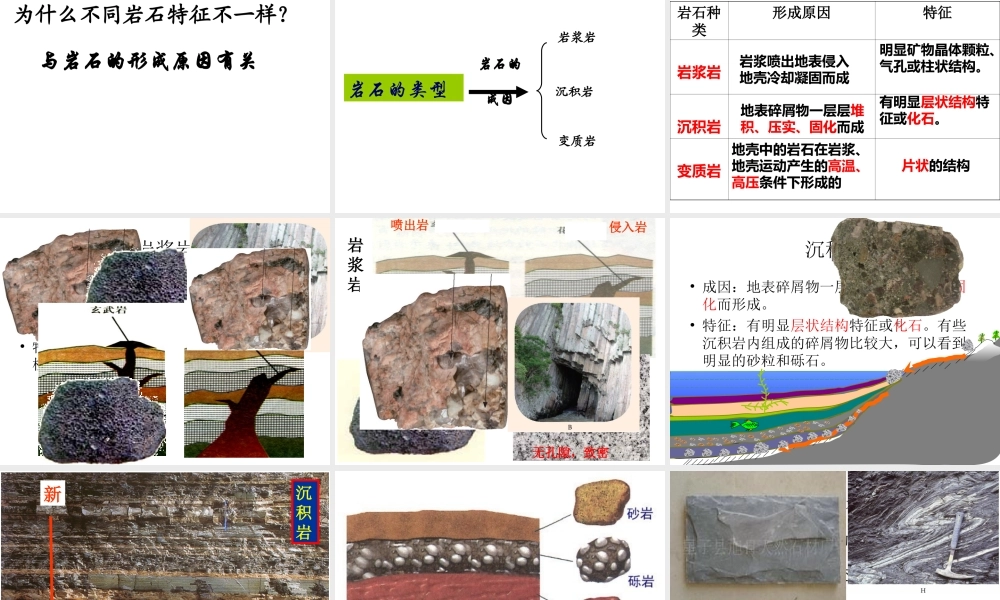 2012年秋七年级科学上册 第三章第三节组成地壳的岩石课件 浙教版
