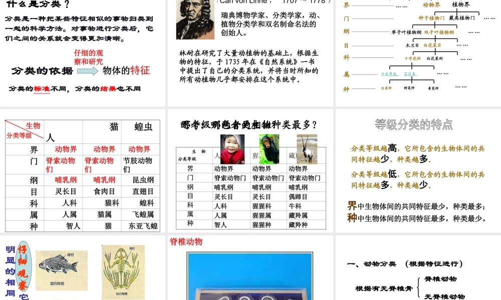 2012年秋七年级科学上册 第四节 常见的动物（第一二课时）课件 浙教版