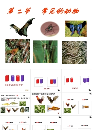 2012年秋七年级科学上册 第四节 常见的动物（第一二课时）课件 浙教版