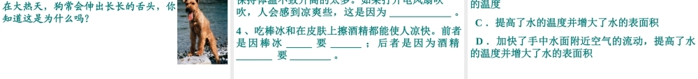 2012年秋七年级科学上册 第四章 第六节 汽化与液化（第一课时）蒸发课件 浙教版