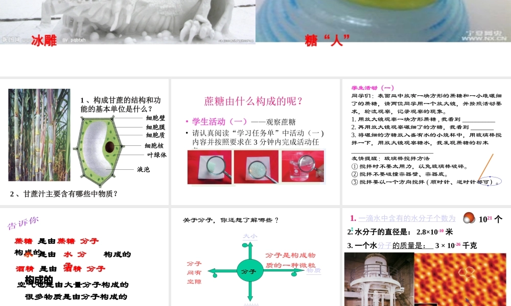 2012年秋七年级科学上册 第四章物质的构成课件 浙教版