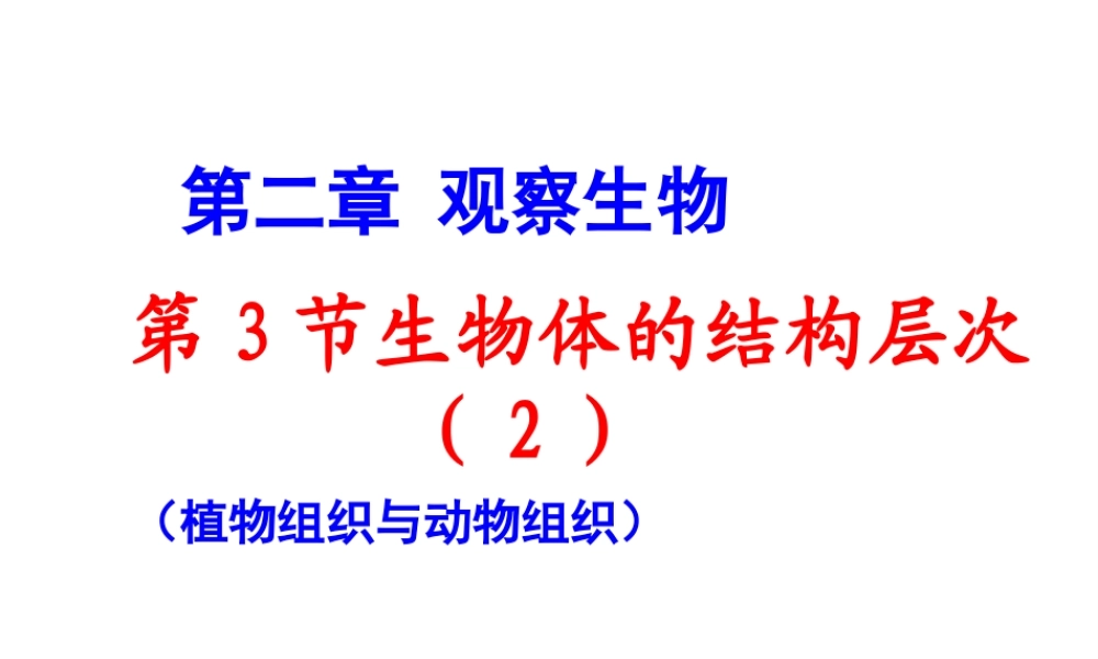 2012年秋七年级科学上册 生物体的结构层次2课件 浙教版