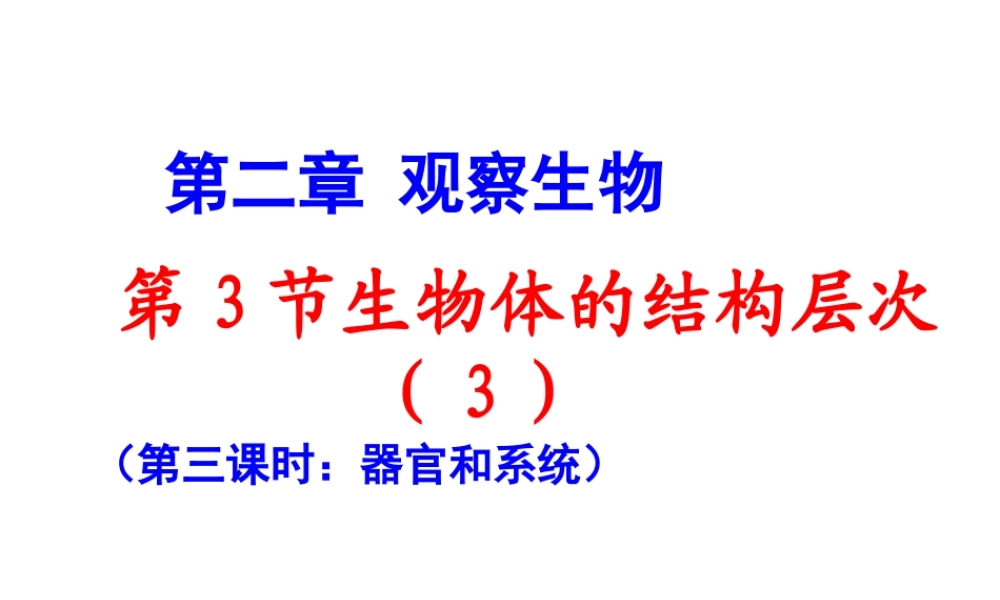 2012年秋七年级科学上册 生物体的结构层次3课件 浙教版
