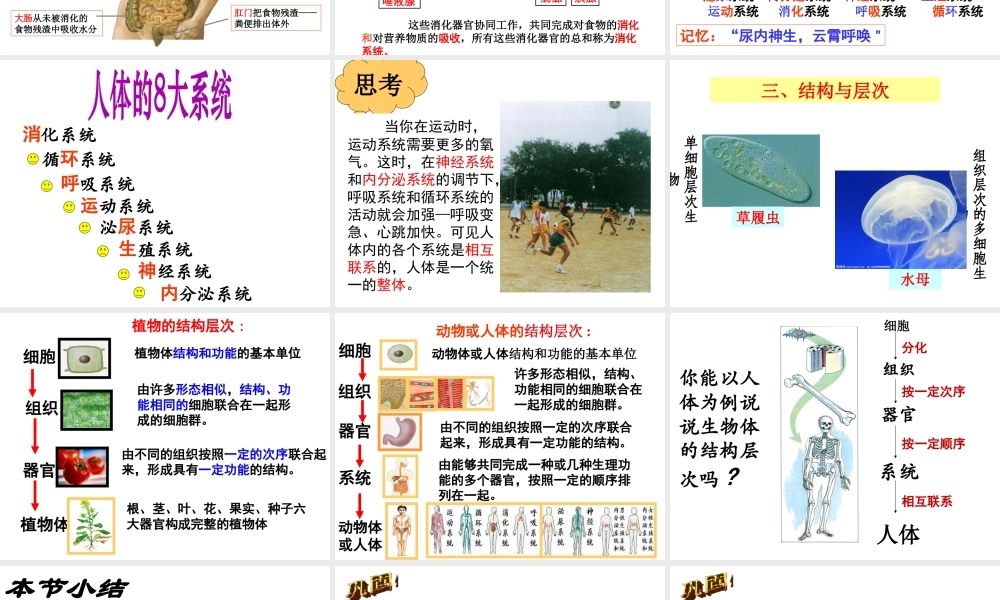 2012年秋七年级科学上册 生物体的结构层次3课件 浙教版