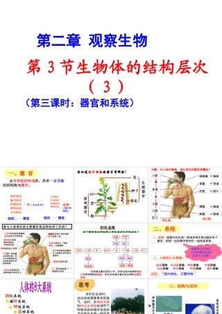 2012年秋七年级科学上册 生物体的结构层次3课件 浙教版