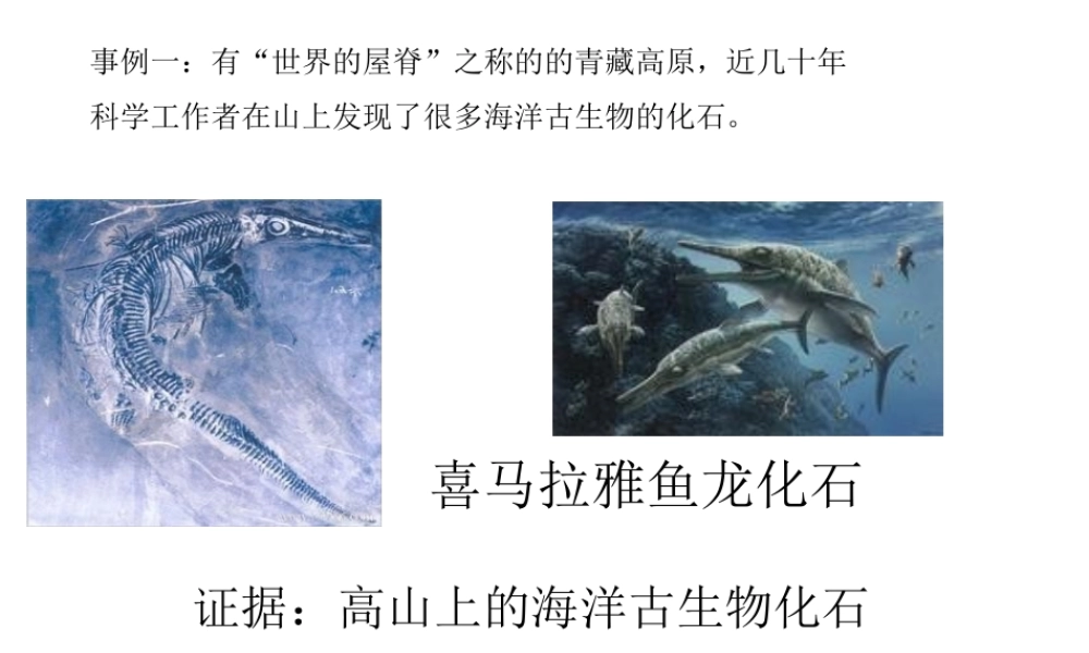 2012年秋七年级科学上册 新第三章第四节课件 浙教版