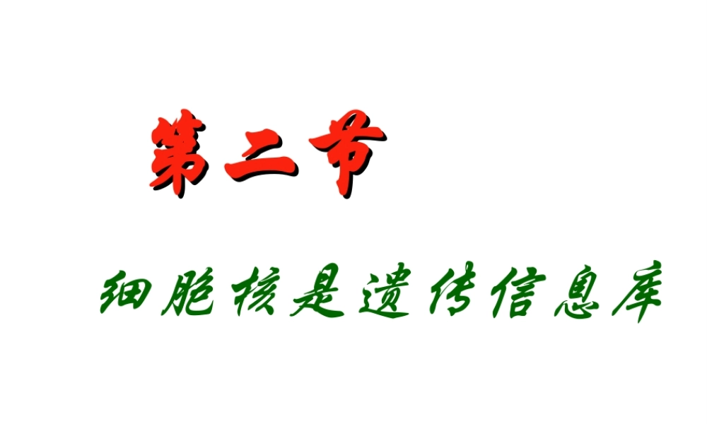 2012年秋七年级生物上册 第二单元 第二章 第二节 细胞核是遗传信息库课件 新人教版