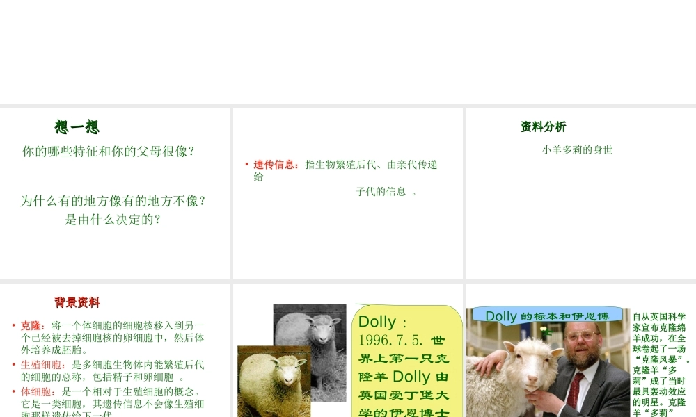 2012年秋七年级生物上册 第二单元 第二章 第二节 细胞核是遗传信息库课件 新人教版