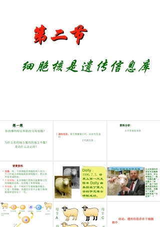 2012年秋七年级生物上册 第二单元 第二章 第二节 细胞核是遗传信息库课件 新人教版