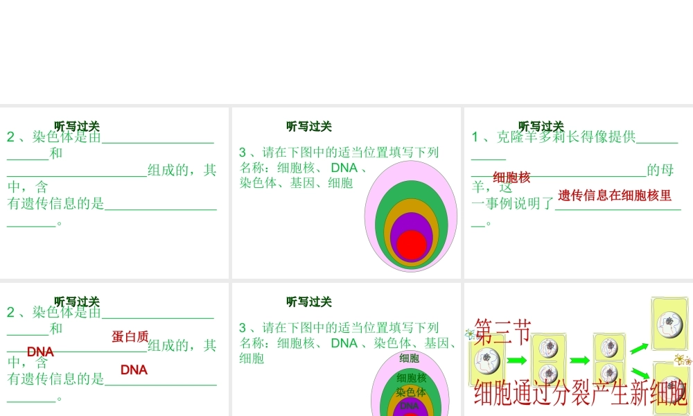 2012年秋七年级生物上册 第二单元 第三节 细胞通过分裂产生新细胞课件 新人教版