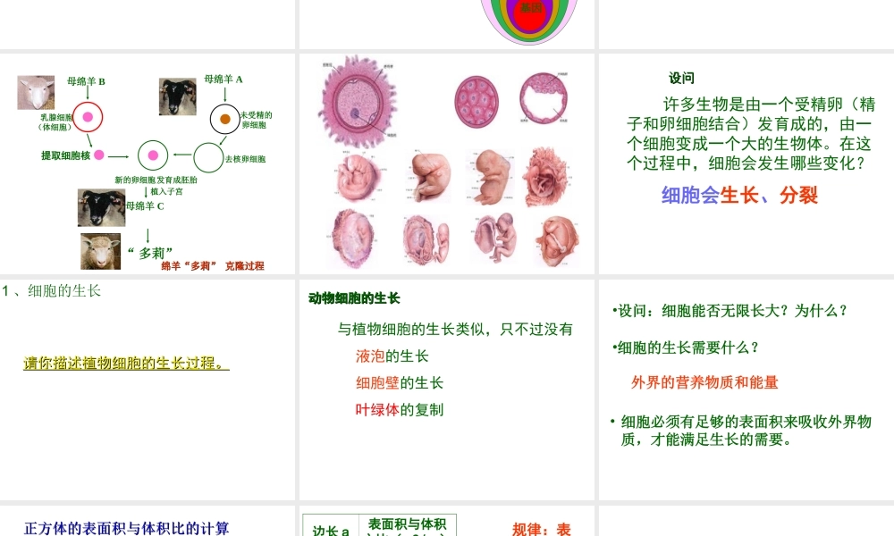 2012年秋七年级生物上册 第二单元 第三节 细胞通过分裂产生新细胞课件 新人教版