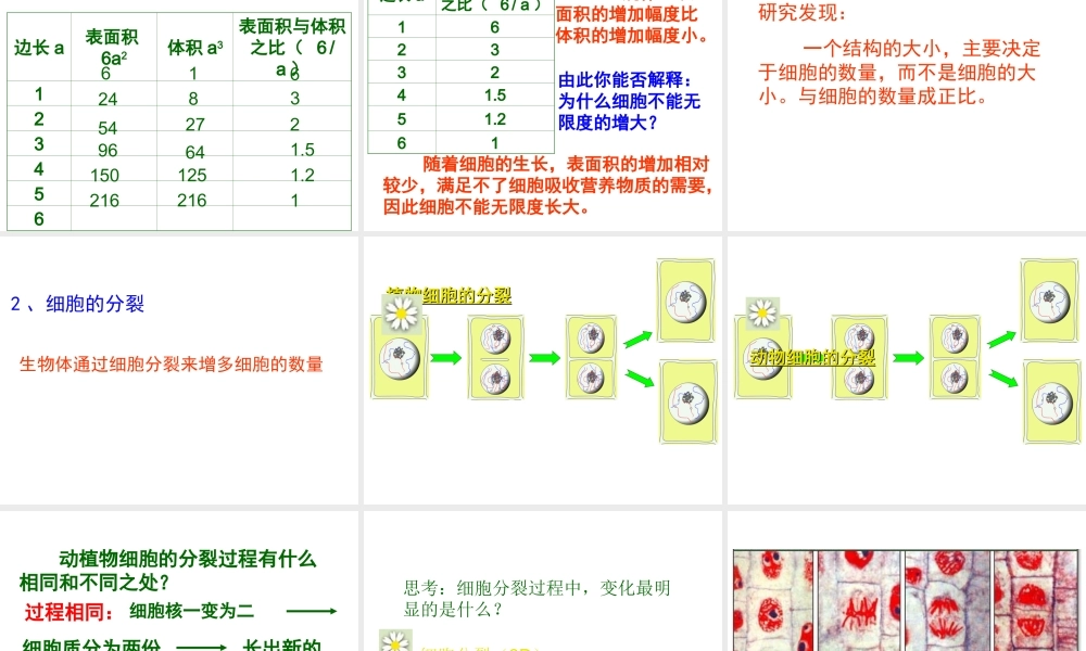 2012年秋七年级生物上册 第二单元 第三节 细胞通过分裂产生新细胞课件 新人教版