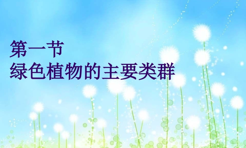 2012年秋七年级生物上册 第二单元 第一节 绿色植物的主要类群课件 济南版