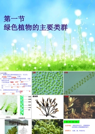 2012年秋七年级生物上册 第二单元 第一节 绿色植物的主要类群课件 济南版