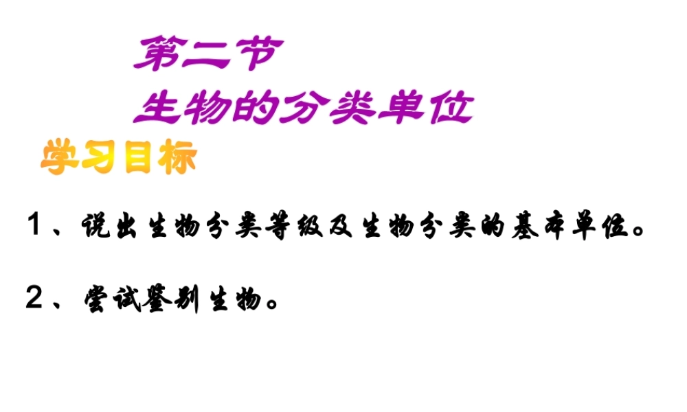 2012年秋七年级生物上册 第二单元 多彩的生物世界第四章生物的分类 第二节 生物的分类单位课件 济南版