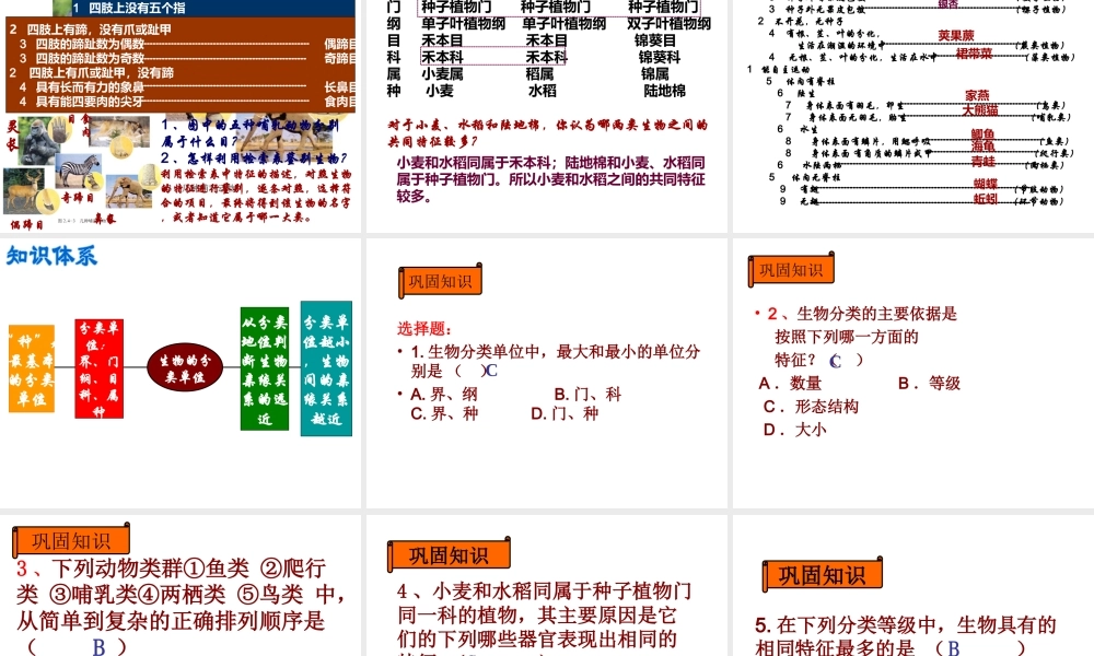 2012年秋七年级生物上册 第二单元 多彩的生物世界第四章生物的分类 第二节 生物的分类单位课件 济南版