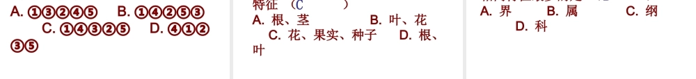 2012年秋七年级生物上册 第二单元 多彩的生物世界第四章生物的分类 第二节 生物的分类单位课件 济南版