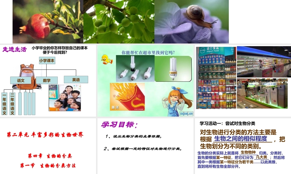 2012年秋七年级生物上册 第二单元 多彩的生物世界第四章生物的分类 第一节 生物的分类方法课件 济南版