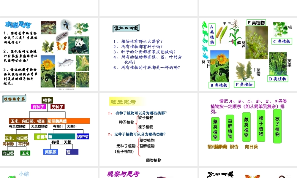 2012年秋七年级生物上册 第二单元 多彩的生物世界第四章生物的分类 第一节 生物的分类方法课件 济南版