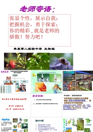 2012年秋七年级生物上册 第二单元 多彩的生物世界第四章生物的分类 第一节 生物的分类方法课件 济南版