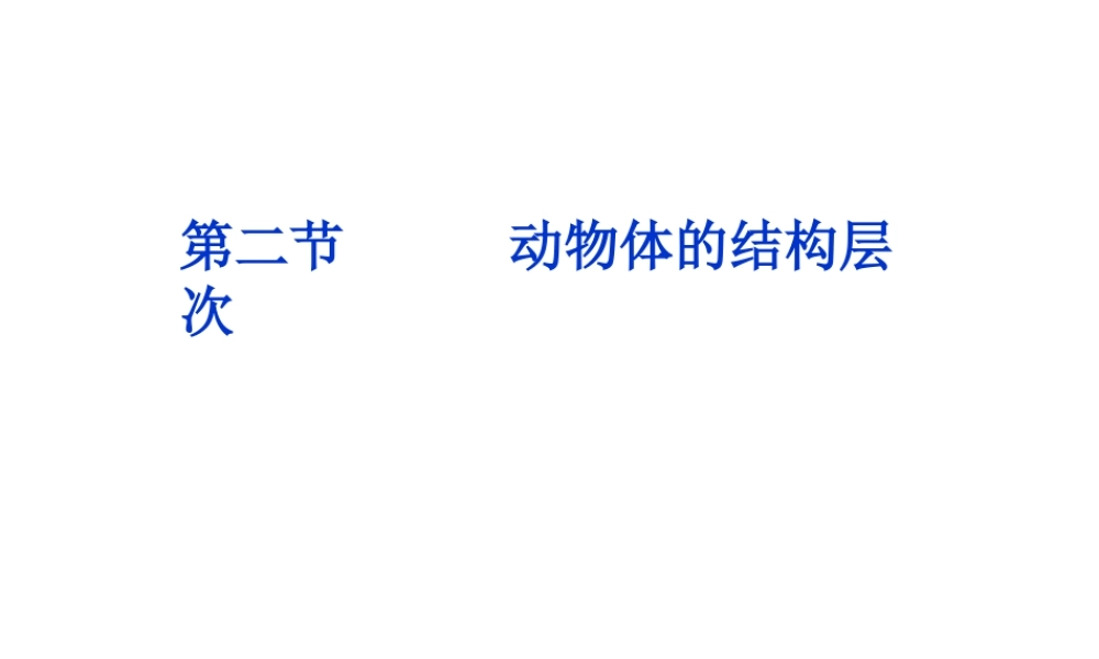 2012年秋七年级生物上册 第二节 动物体的结构层次课件 新人教版