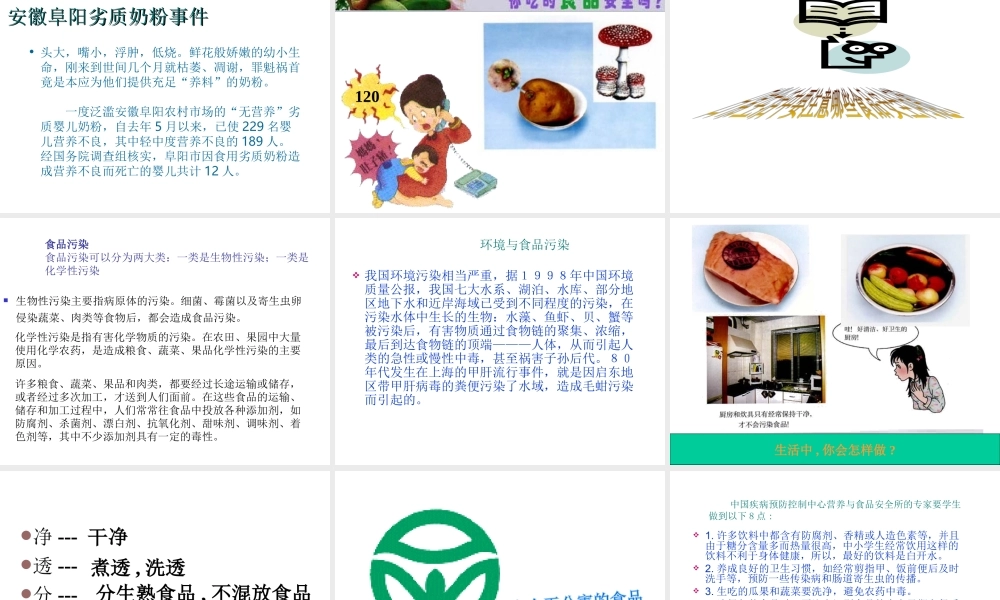 2012年秋七年级生物上册 第二章 第三节 关注合理营养与食品安全课件册 新人教版