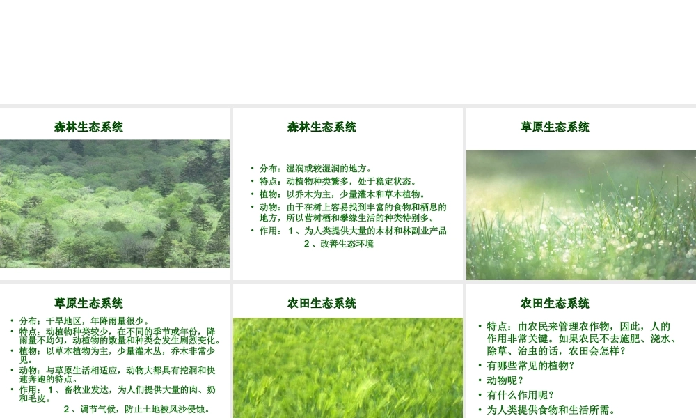 2012年秋七年级生物上册 第二章 第一节 多种多样的生态系统课件 苏科版