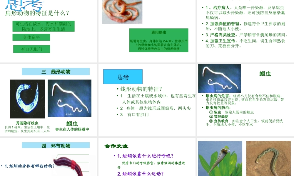 2012年秋七年级生物上册 第二章 第一节 无脊椎动物的主要类群课件 济南版