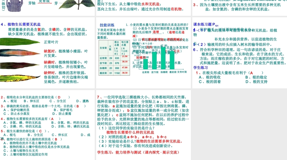 2012年秋七年级生物上册 第三单元 第二章 第二节 植株的生长课件 新人教版